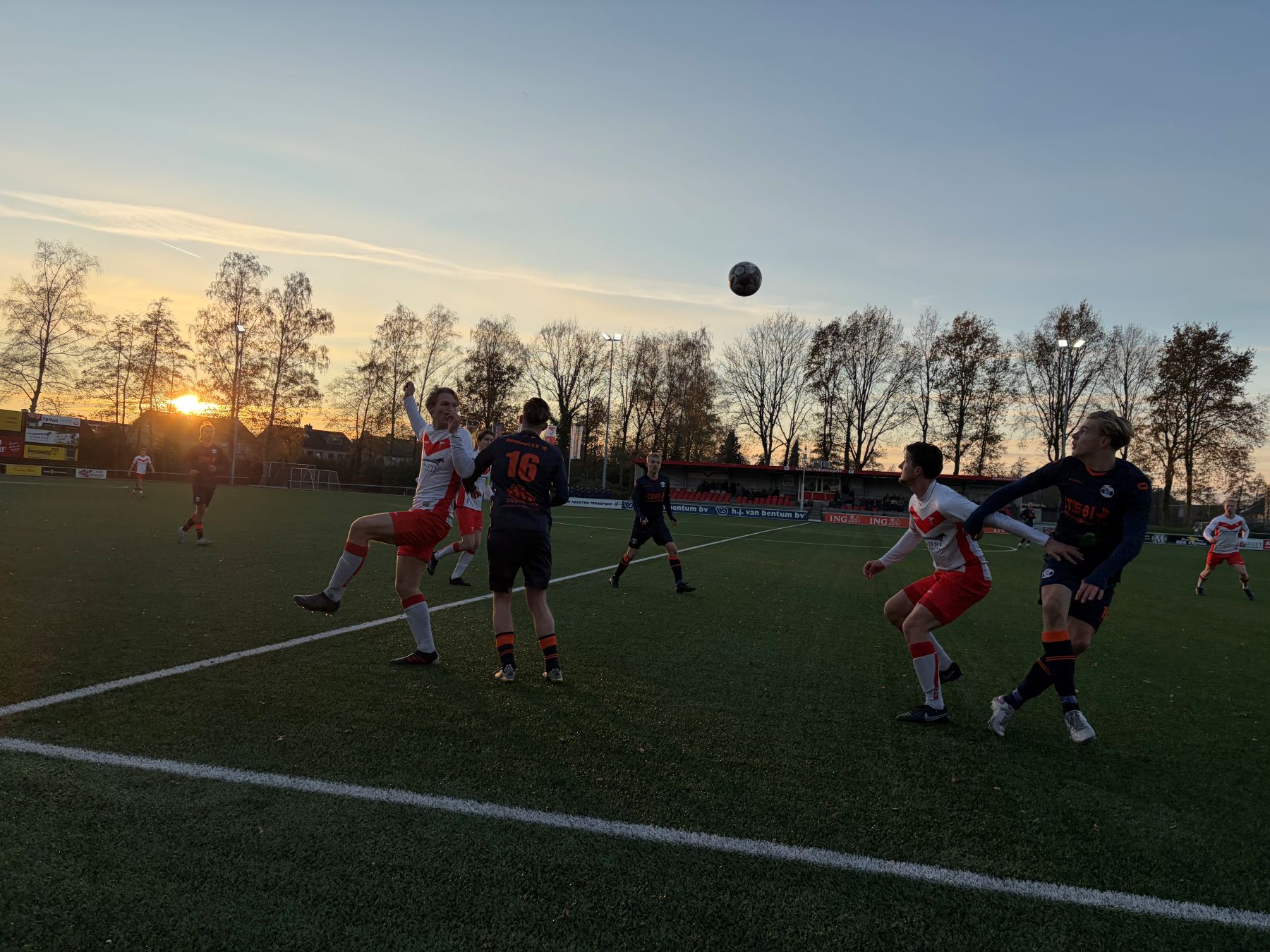 Teveel persoonlijke fouten nekken Valleivogels