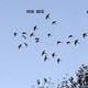 Afgelopen Zaterdag jl. in Vogelvlucht